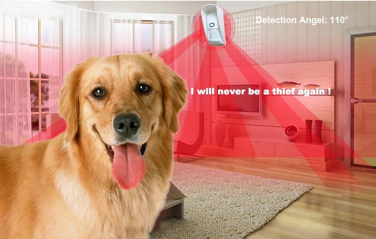 Sensor de Movimento PIR FD FD102 433MHz Sem Fio Imune Pet À Prova D'Água Longa Distância