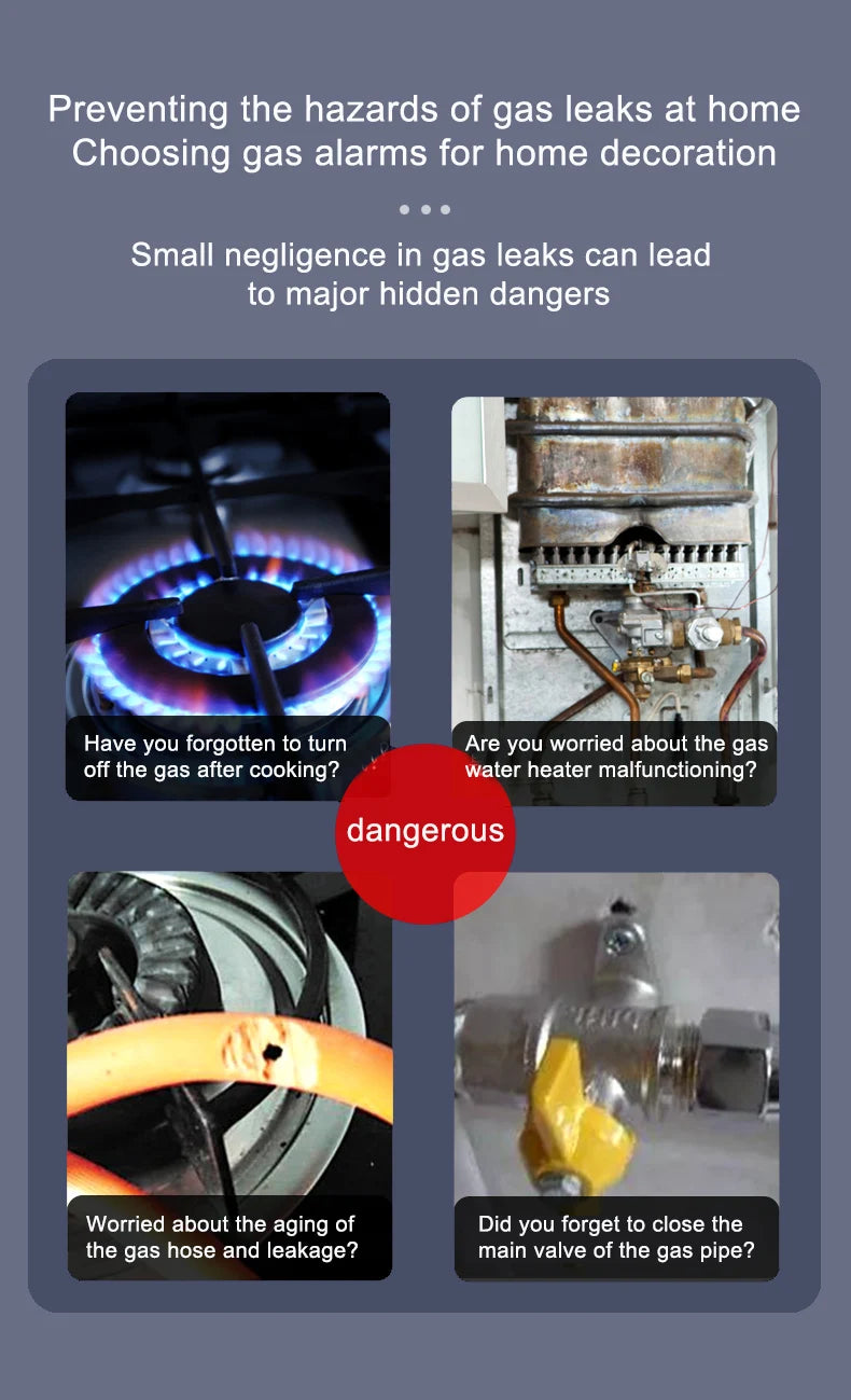 Detector de Gás Natural e Monóxido de Carbono WiFi Inteligente com Alarme Tuya Smart Life IHOMECAM